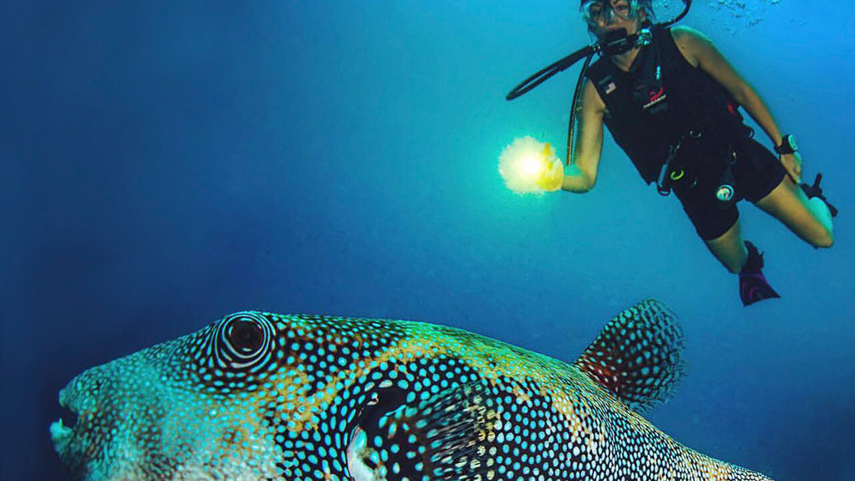 Во время дайвинга на Мальдивах вы сможете сделать потрясающие фото!