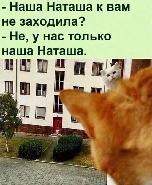-6