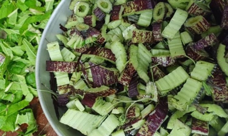    Фото: Кировский филиал ФГБУ «РосАгрохимслужба»