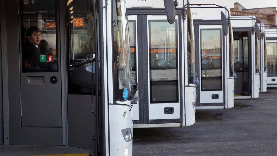    Автор фото: Ковалев Петр/"ДП"