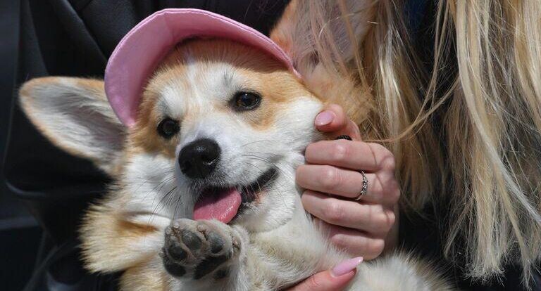    РИА «Новости»