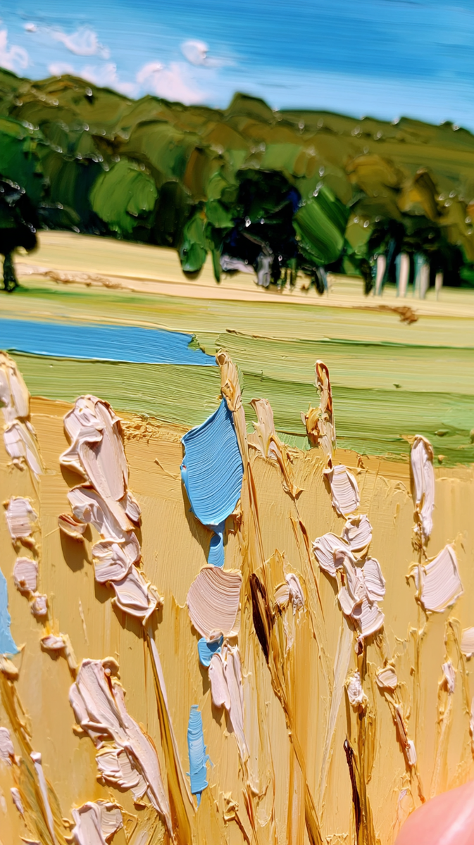 Лето в полях