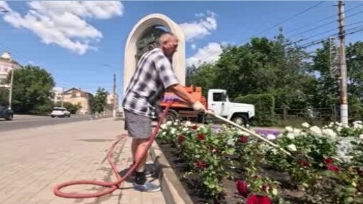    Как в Курске от жары спасают цветы