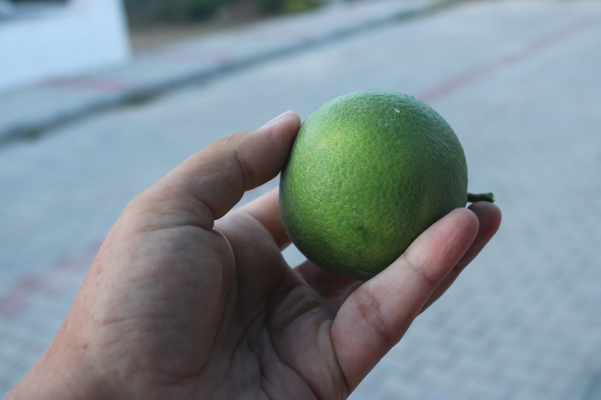 Это можно есть!