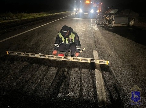    Фото ГУ МВД по Самарской области