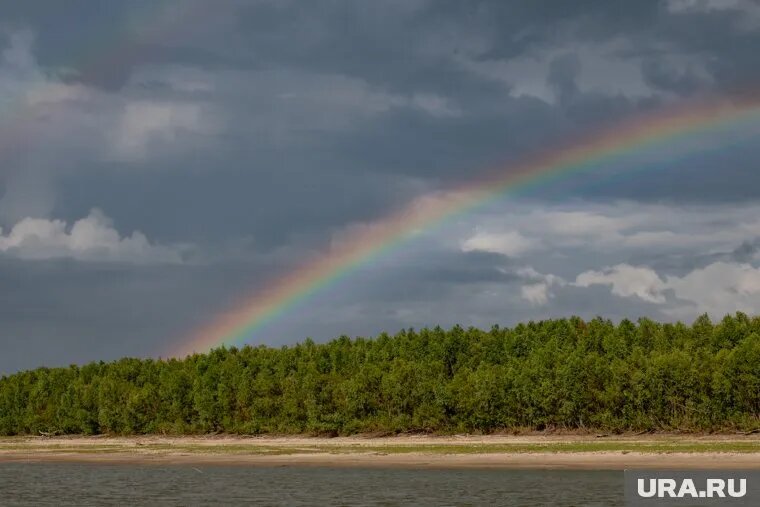 Памятник Сузге Ханым хотят установить в Тобольском районе. Фото: Сергей Русанов © URA.RU