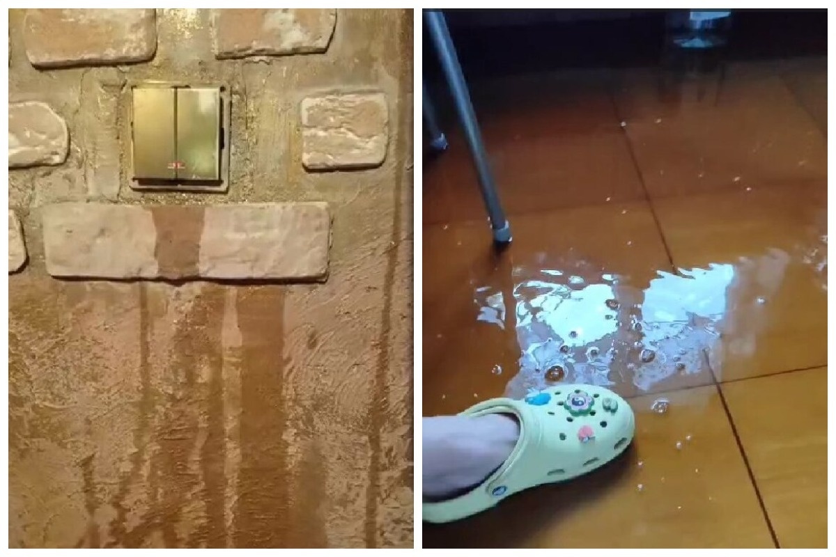    Фото и видео предоставлены героями публикации