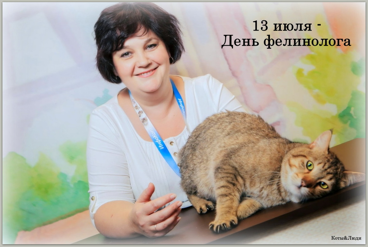 Коллаж автора