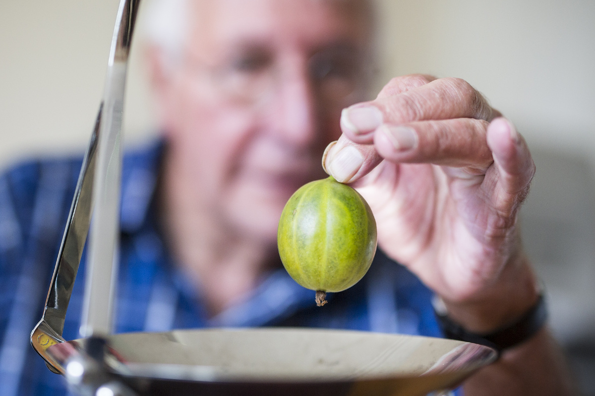 Фото: © Andrew Mccaren/ ZUMAPRESS.com/ Global Look Press