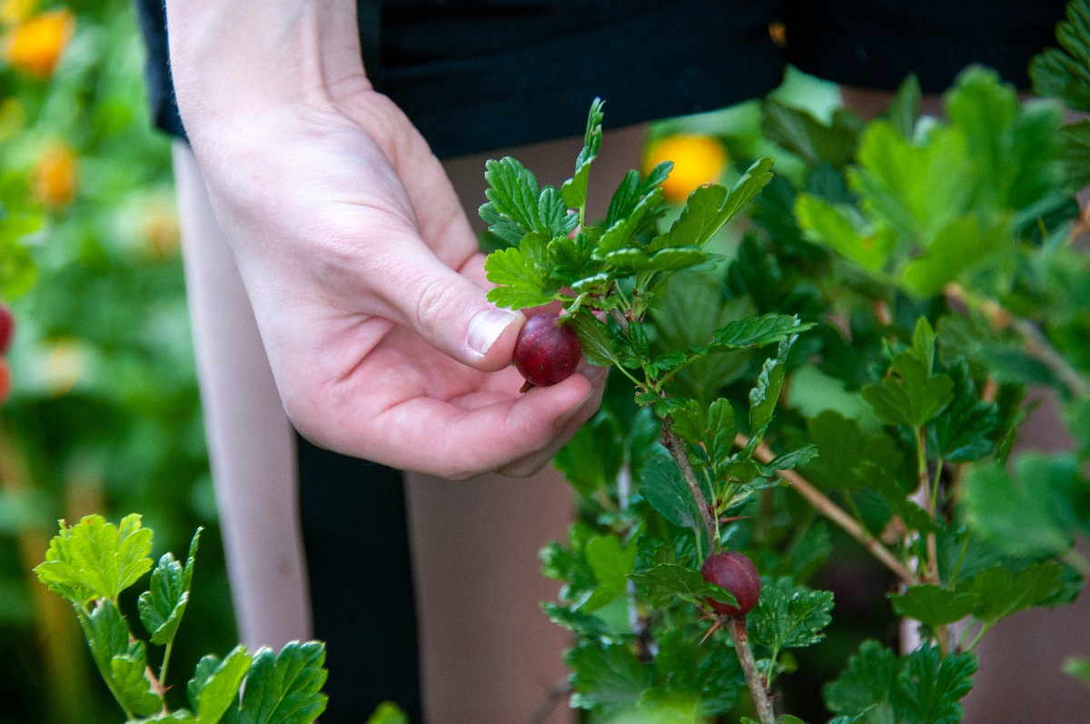 Фото: © Svetlana Vozmilova/ Global Look Press