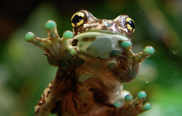 Фото: РИА Новости