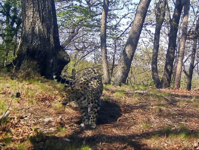    Фото: oblgazeta.ru Олеся Шмелева