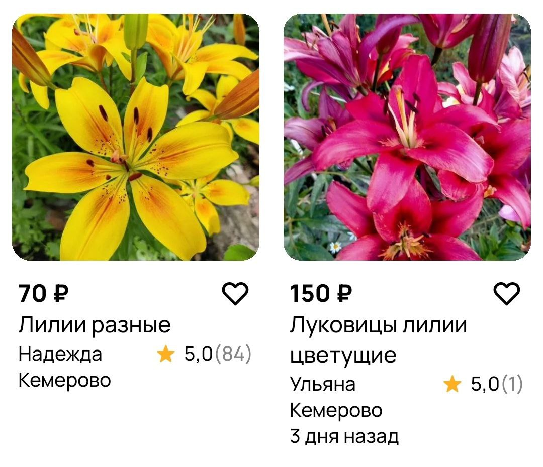 Скрин с Авито