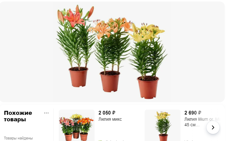 Скрин рекламы с ценами