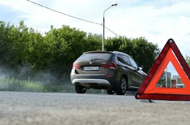 Фото заимствовано - https://ldpr.ru/event/31133