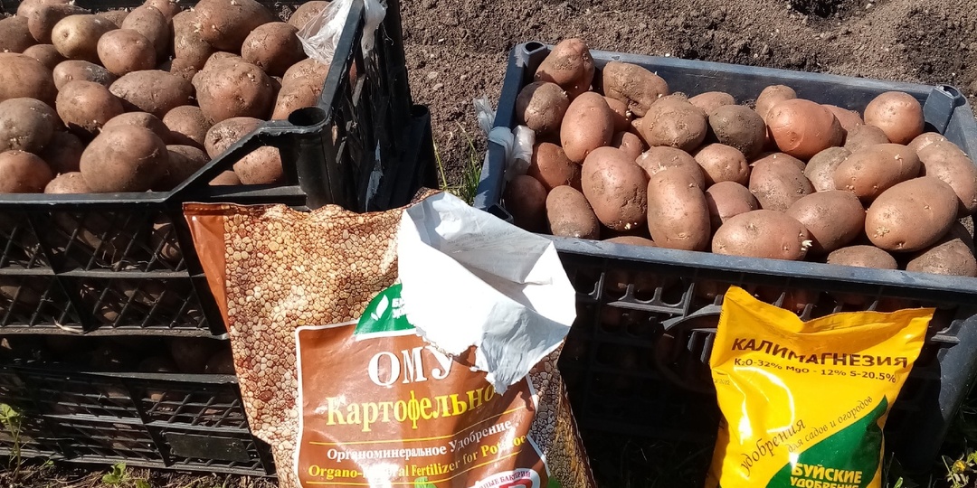 Калимаг и калимагнезия. Одно и тоже или нет?