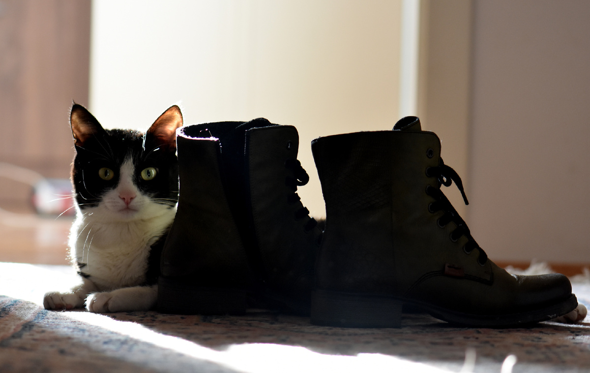 Designed by Freepik. Источник: www.freepik.com