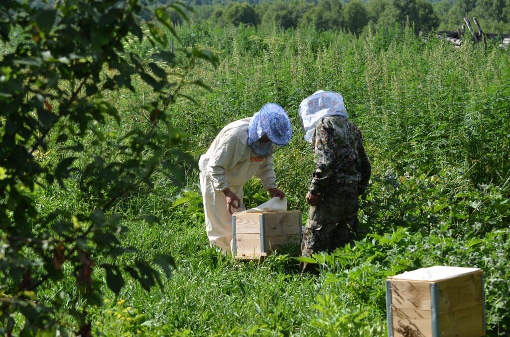    Источник: Пруфы.рф