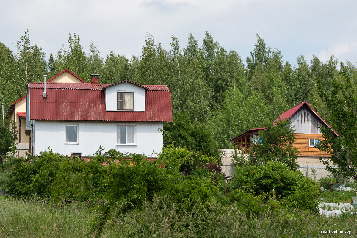 Как бороться с шумными соседями на даче