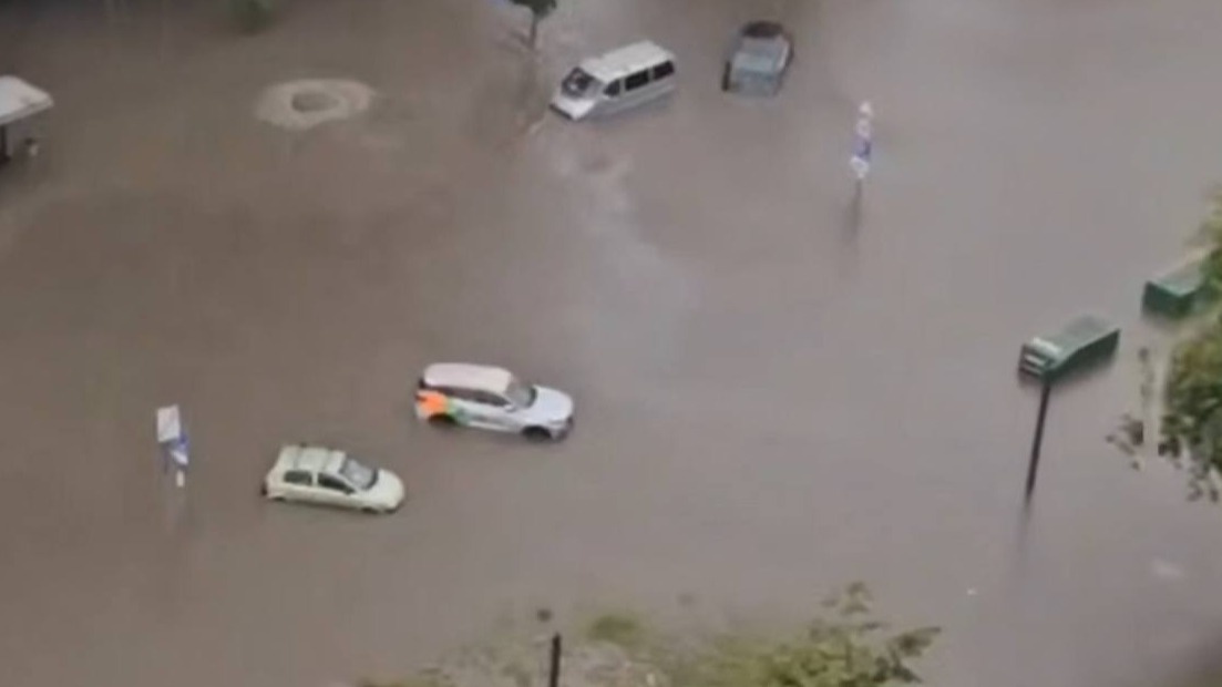    Фото: скриншот Telegram-канал Baza