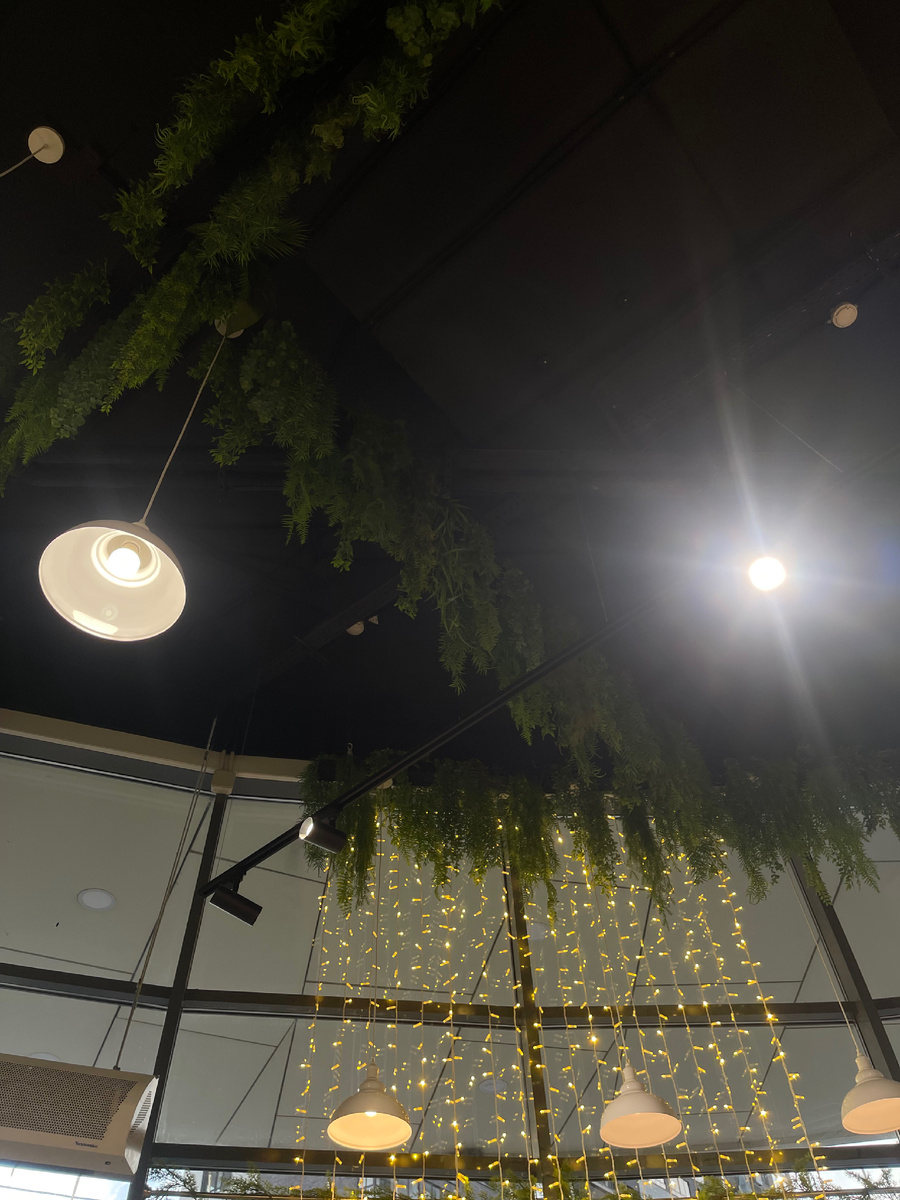 Зеленушка под потолком