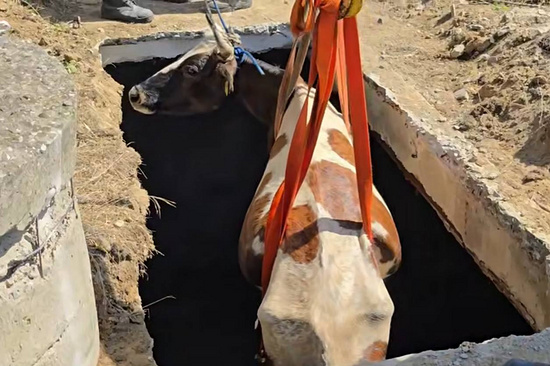 Фото: t.me/mchsdagestan