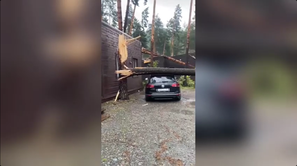    Последствия урагана в Чемальском районе Республики Алтай. Источник: Telegram-канал GO_BARNAUL