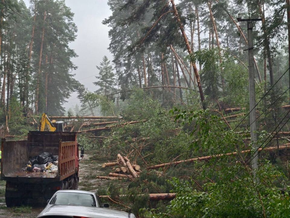    Последствия урагана в Чемальском районе Республики Алтай. Источник: Telegram-канал GO_BARNAUL