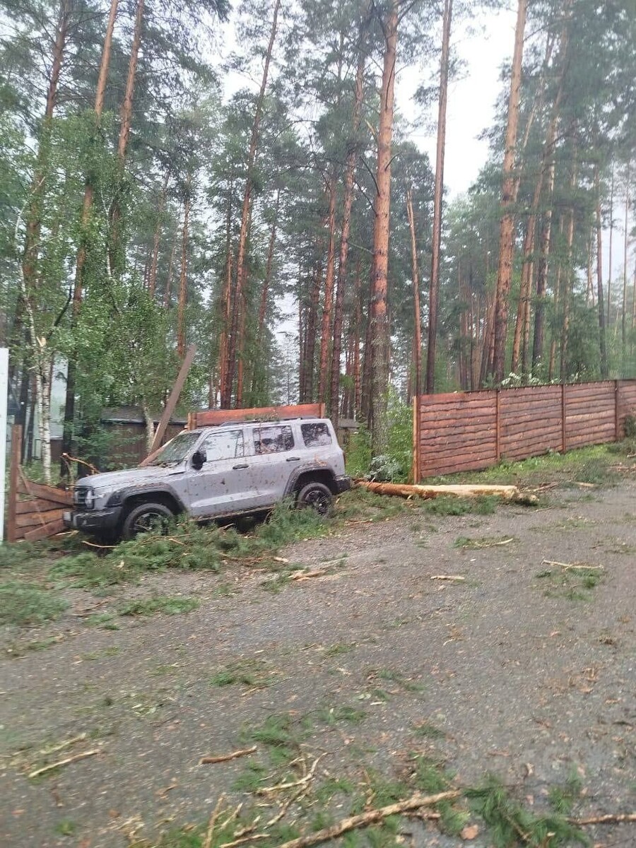    Последствия урагана в Чемальском районе Республики Алтай. Источник: Telegram-канал GO_BARNAUL