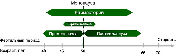 Пременопауза - период от 40/45 лет женщины до наступления менопаузы; менопауза - последний МЦ у женщины; постменопауза - это полное прекращение репродуктивной функции, как правило, наступает через 12 месяцев после менопаузы; перименопауза - переходный период, предшествующий менопаузе