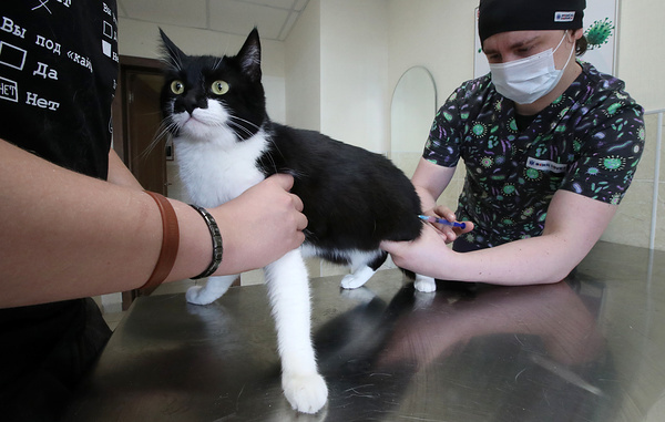 Сергей Карпухин/ТАСС