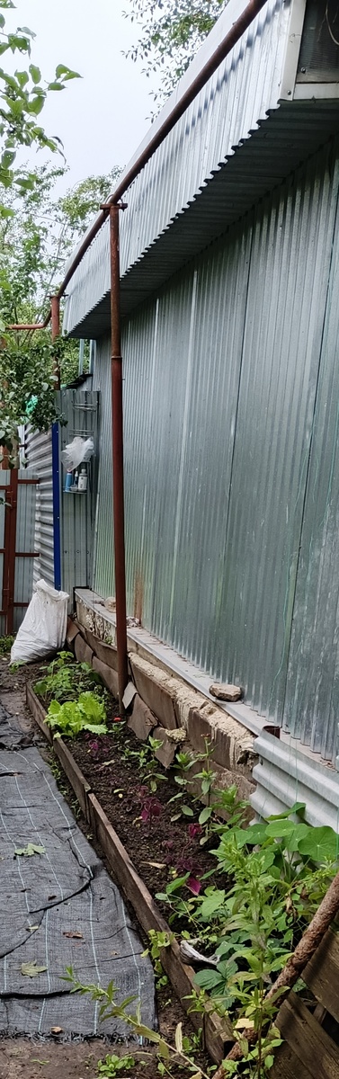 Цинии и колеусы не справились с задачей укрыть от взгляда хотя бы фундамент.