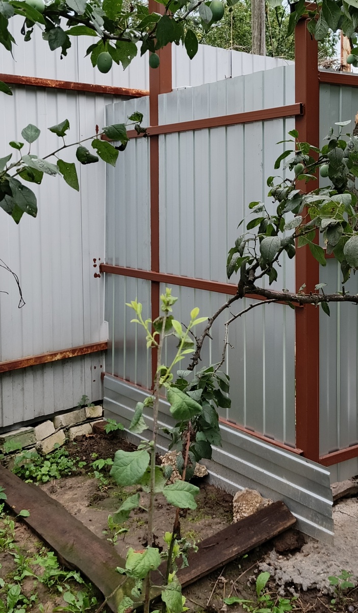 Наметку под клумбу я уже сделала, но погода совсем не дает поработать 😭