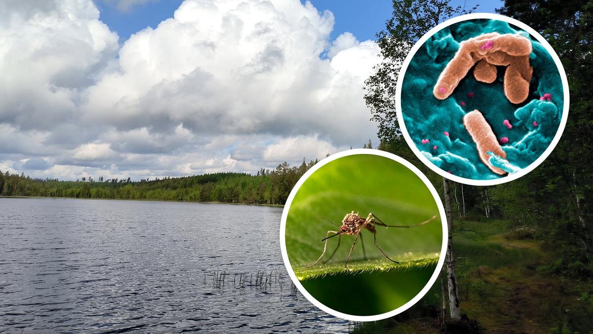 Фото: unsplash.com, Maksim Konstantinov/globallookpress.com