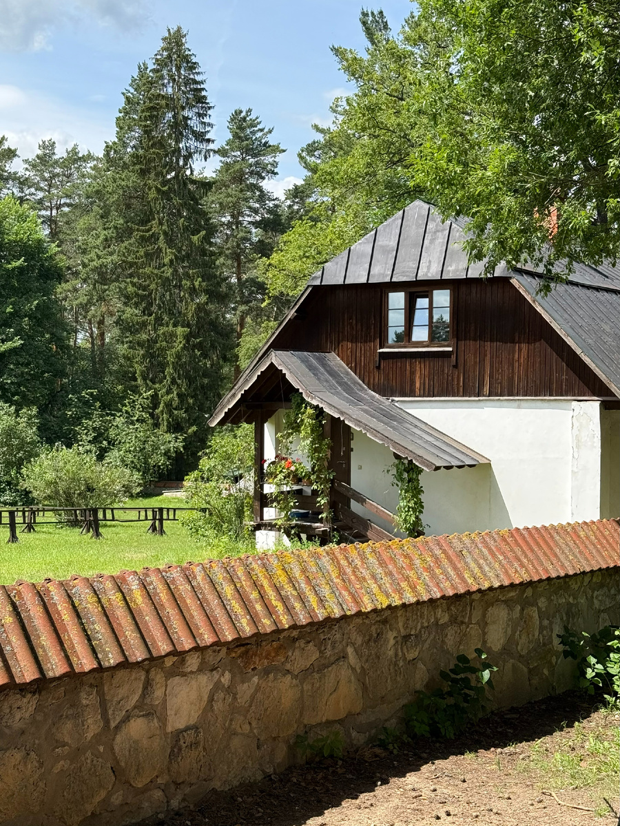 Фото автора канала. Музей-заповедник В. Д. Поленова.