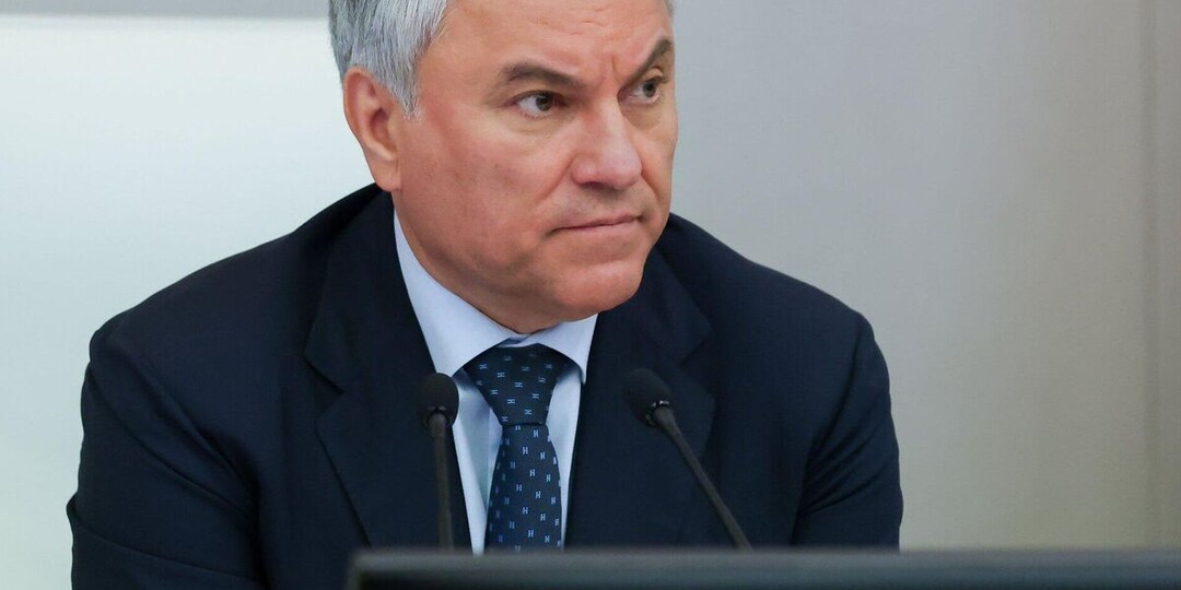 Володин раскрыл подробности закона о лишении приобретенного гражданства