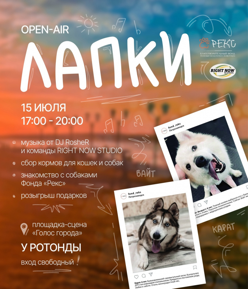    Художница на набережной Петрозаводска нарисует ваш портрет за корм животнымБлаготворительный фонд "РЕКС"