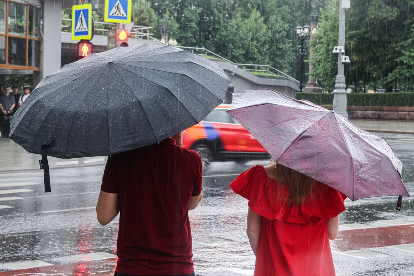     Фото: Владимир Гердо / ТАСС