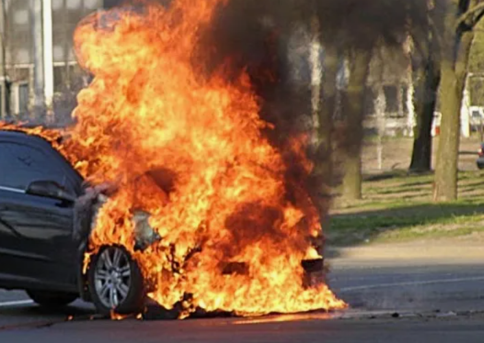 Фото носит иллюстративный характер: открытые источники