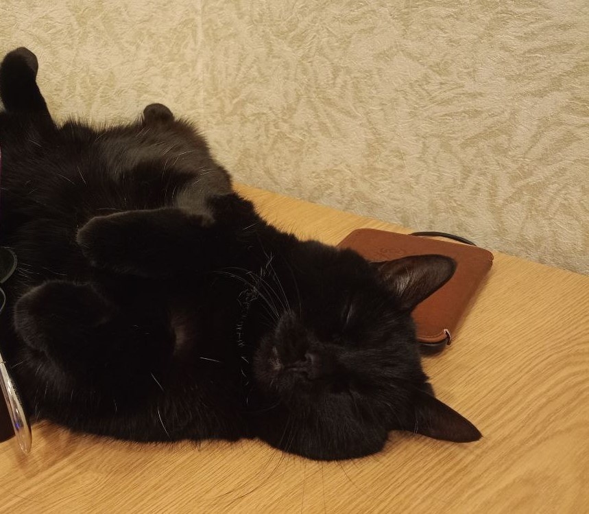 Все фотографии - автора