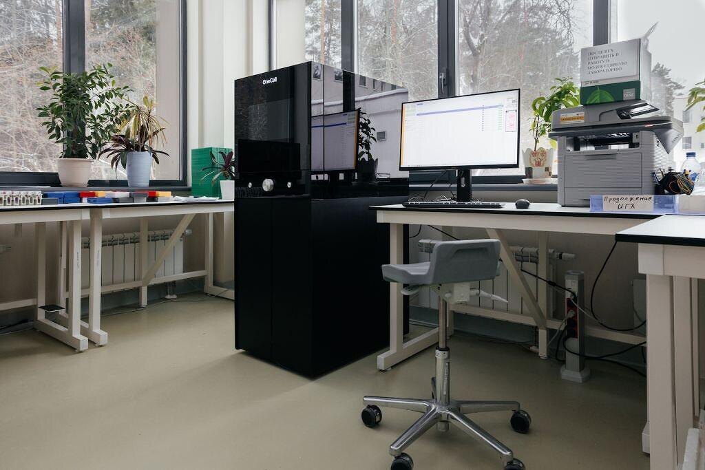 Источник: https://t.me/blackponed