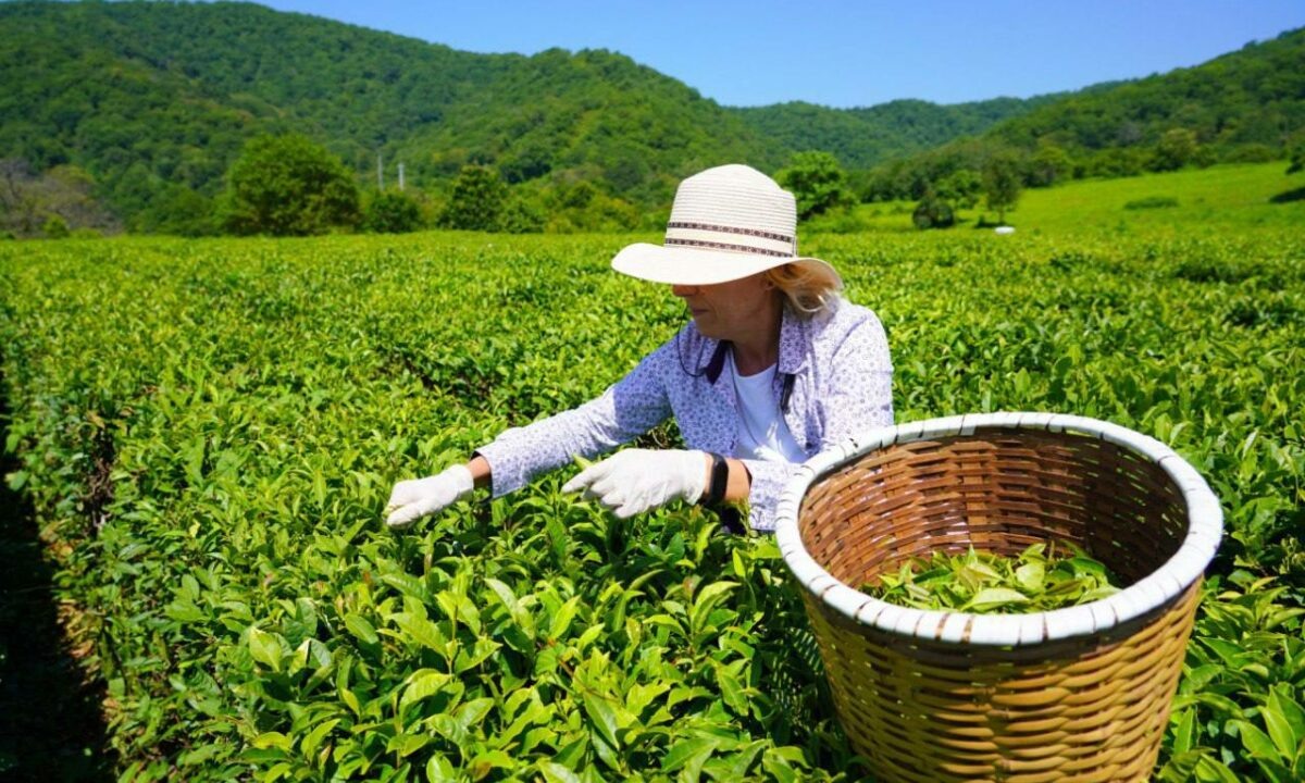    Фото t.me/agproshunin