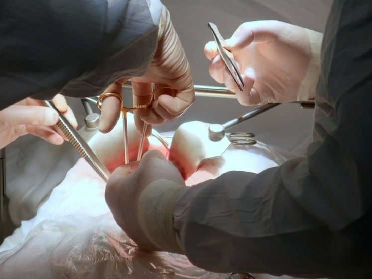     фото: пресс-служба министерства здравоохранения Свердловской области