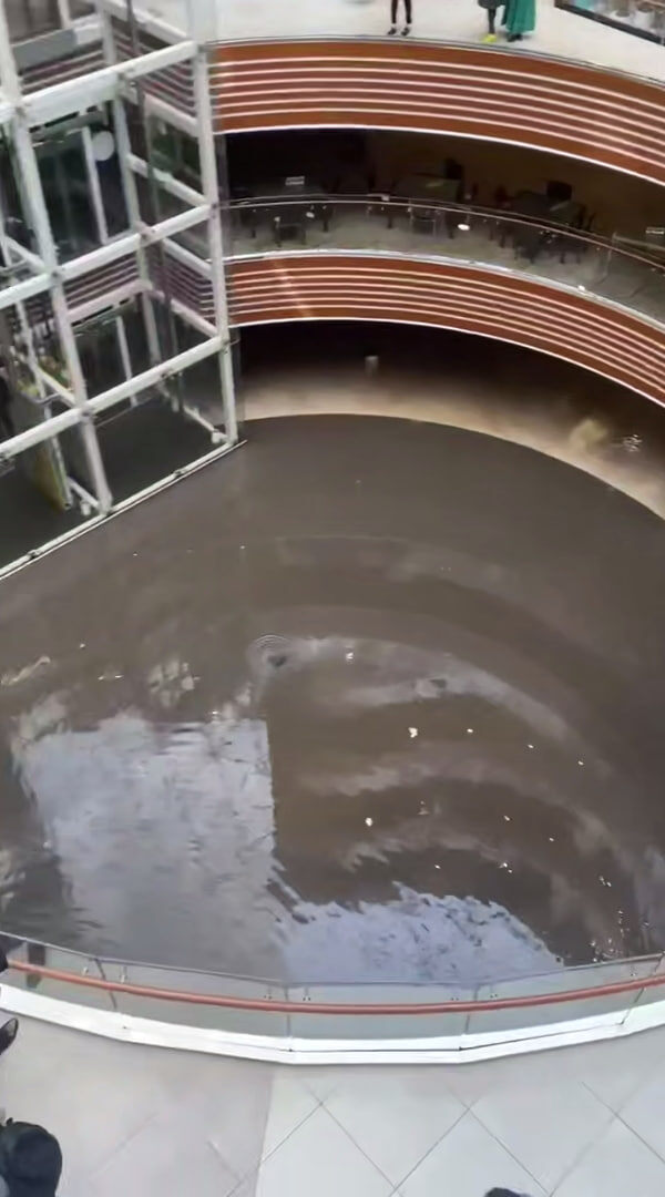 Кадр: соцсети