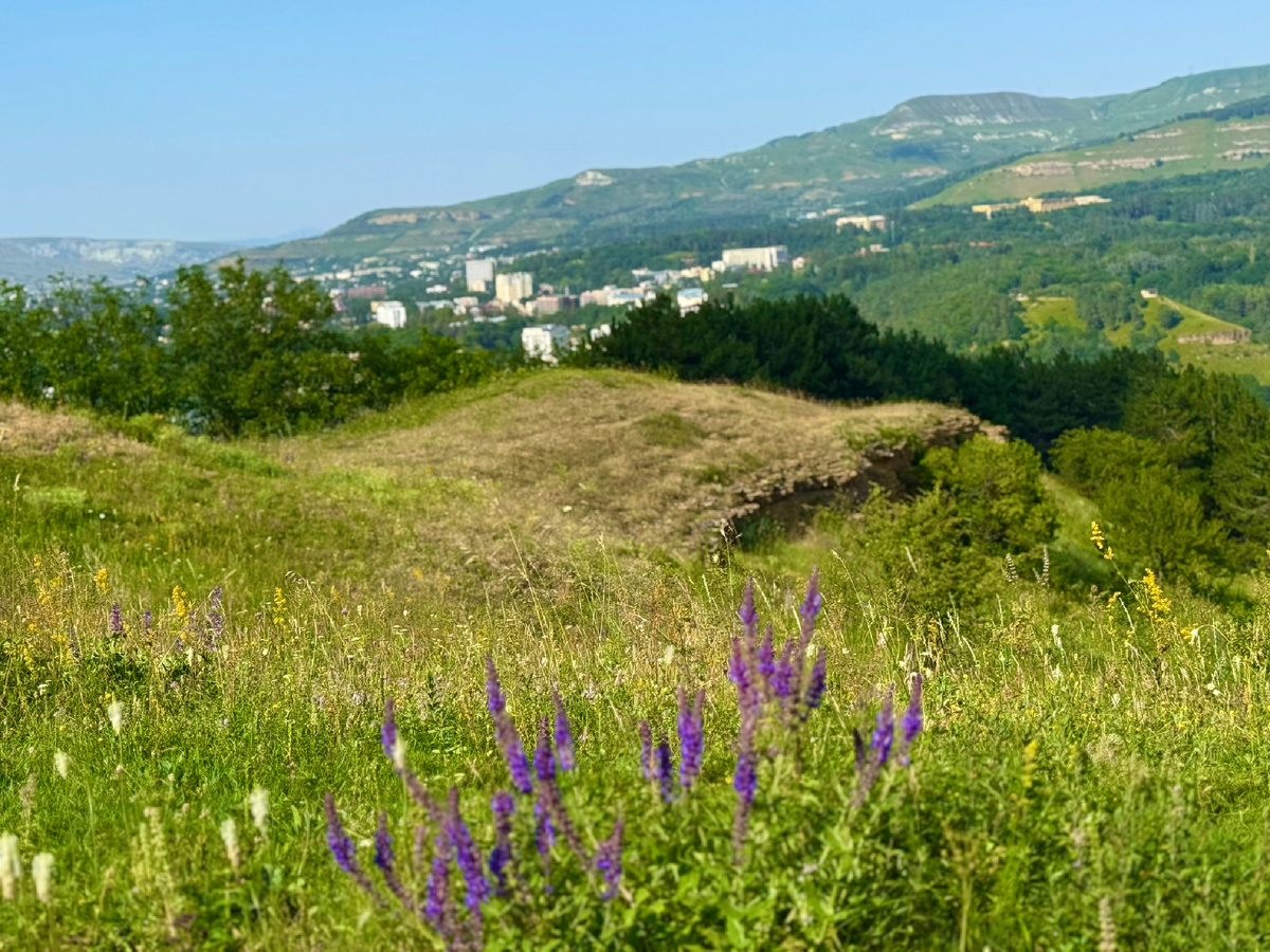 Вид на северные окраины Кисловодска с предгорий, покрытых сейчас ароматными травами 