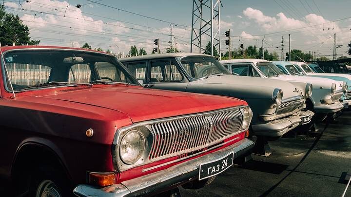  Фото: Shutterstock