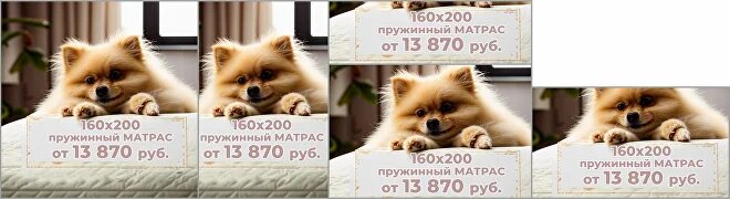 Сама картинка никогда не использовалась, было замечено что шпица ИИ нарисовал с лишними лапками :-)