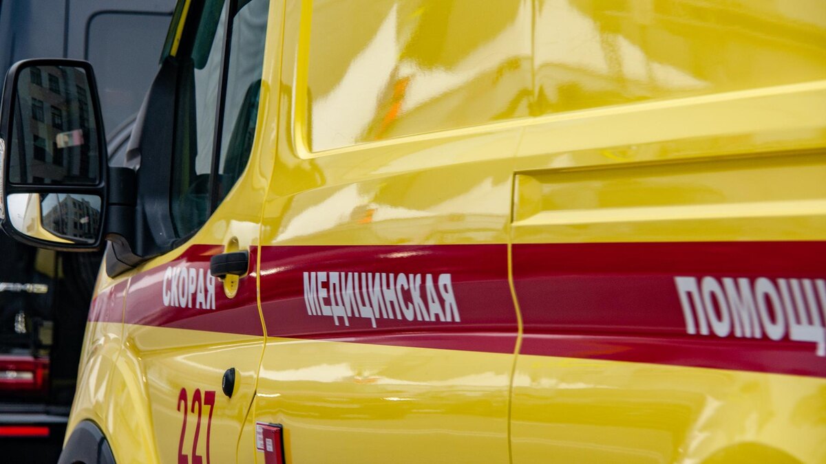    Фото: Svetlana Vozmilova/globallookpress.com