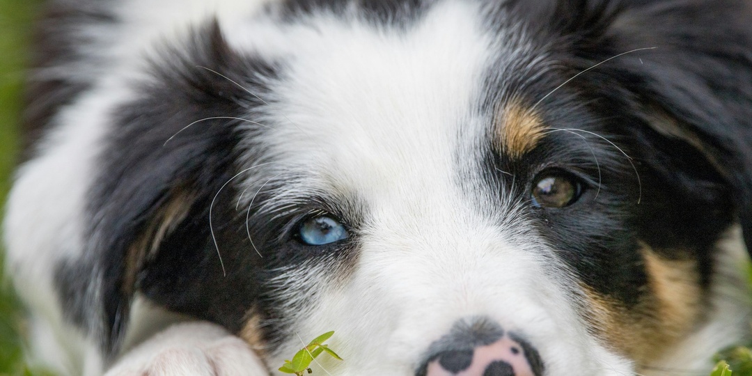 Они не уходят навсегда