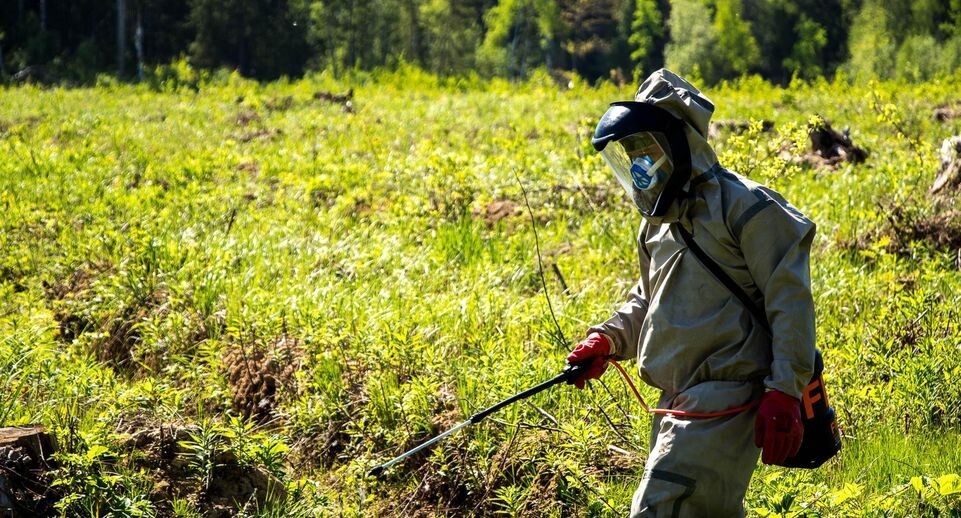    Медиасток.РФ